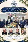 تجلیل از بازنشستگان و پیشکسوتان پرستاری مرکز آموزشی درمانی امام خمینی(ره) کرمانشاه