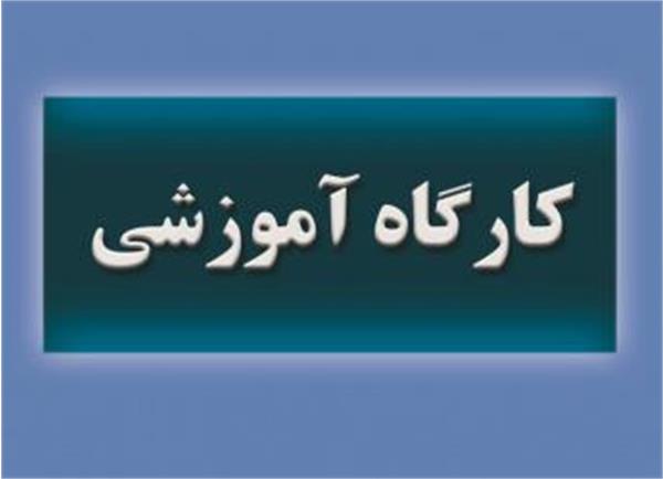 برگزاری  کارگاههای مدیریت بحران و بلایا - مدیران نظام سلامت